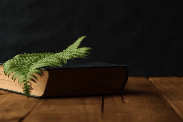 ai画板数量最高多少，ai画板数量最高多少个