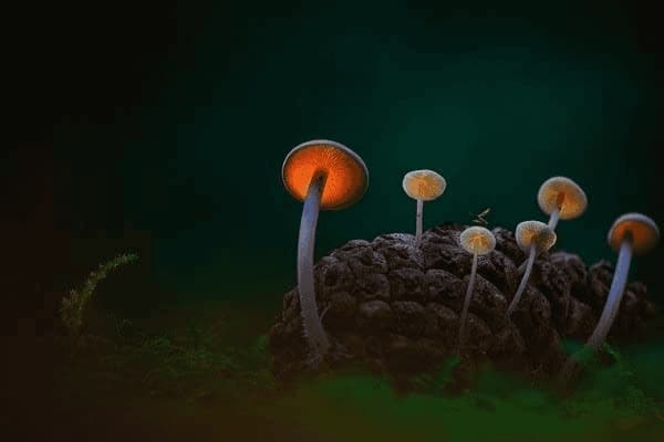 ai怎么设置渐变背景，ai怎么设置渐变背景颜色