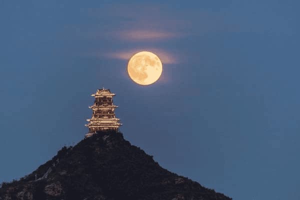 如何训练ai编程语言，如何训练ai编程语言技巧