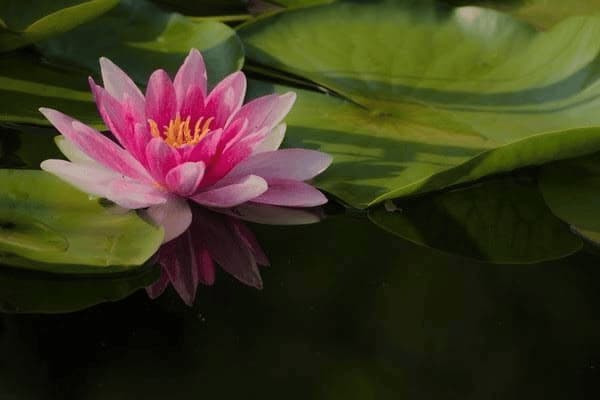 智能叫醒ai闹钟怎么用，智能叫醒ai闹钟怎么用不了